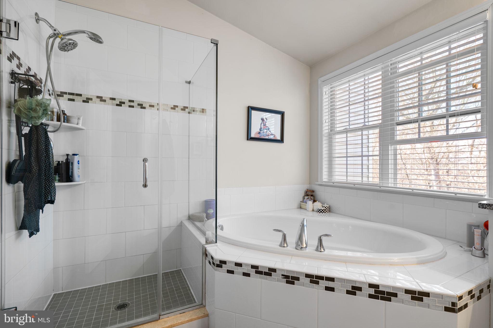 4323 Spring Foal Court Upper Marlboro, MD 20772 - Photo 28 of 49 a bathroom with a tub a sink and a shower