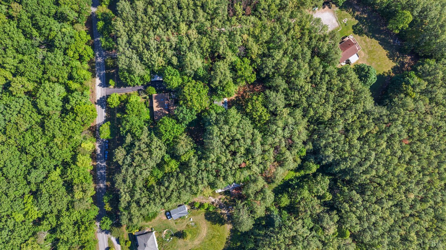 675 Pacoman Road Evington, VA 24550 - Photo 51 of 57