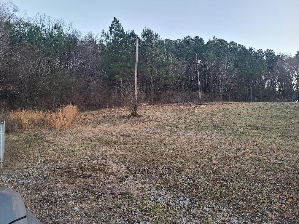 95 A Main Street Dunlap, TN 37327 - Photo 4 of 9 20230115_164801_resized