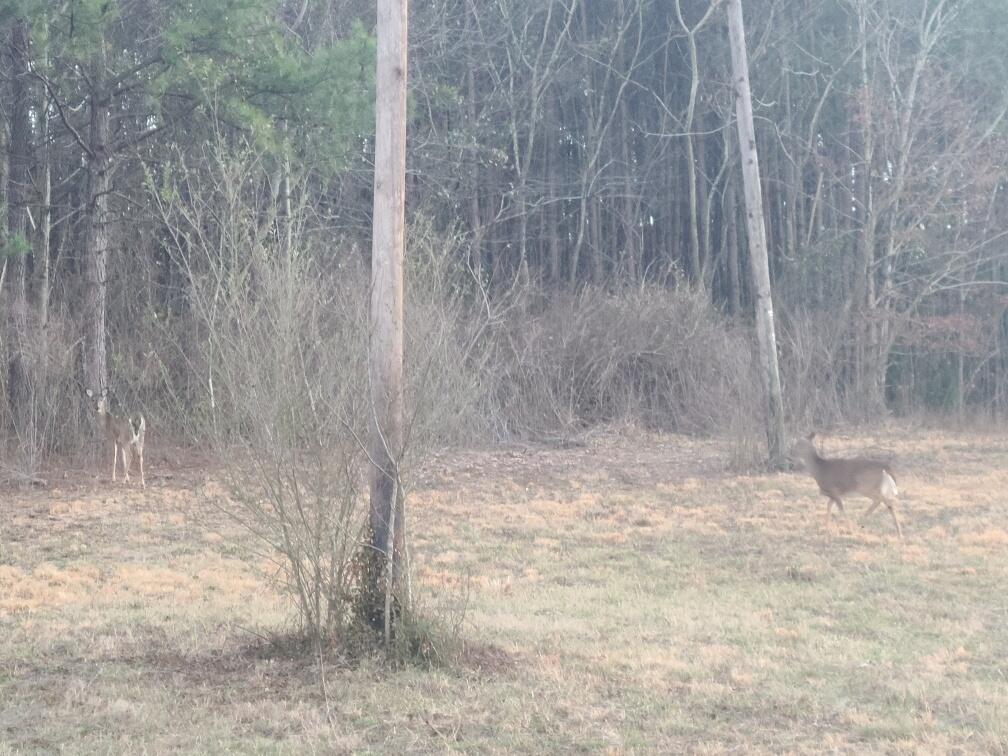 95 A Main Street Dunlap, TN 37327 - Photo 9 of 9 20230115_164837_resized