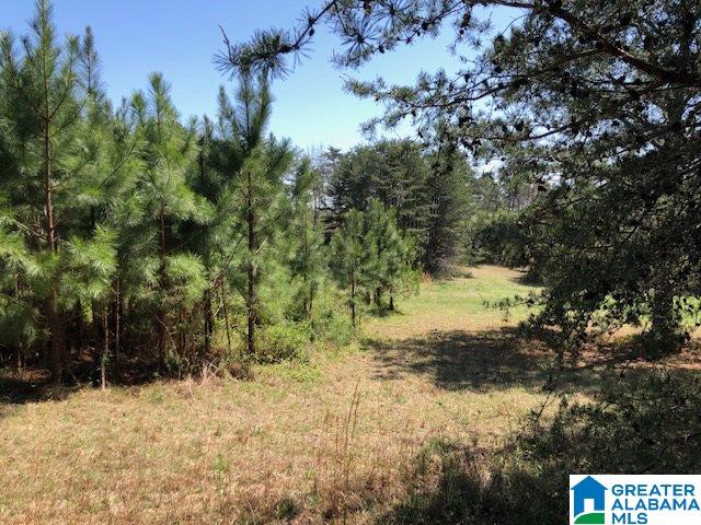 0 High Pointe Drive Warrior, AL 35180 - Photo 5 of 12