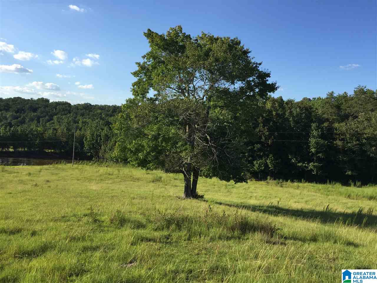0 Valley Creek Road Piedmont, AL 36272 - Photo 3 of 28