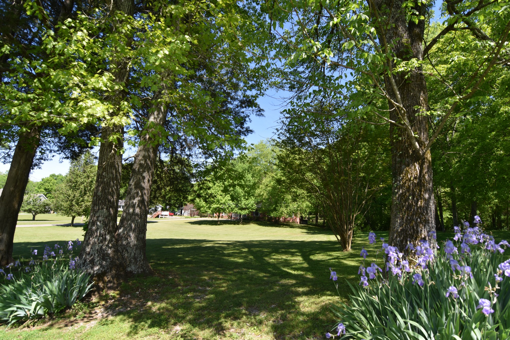 2513 Quarry Road Mount Juliet, TN 37122 - Photo 2 of 42 a view of outdoor space