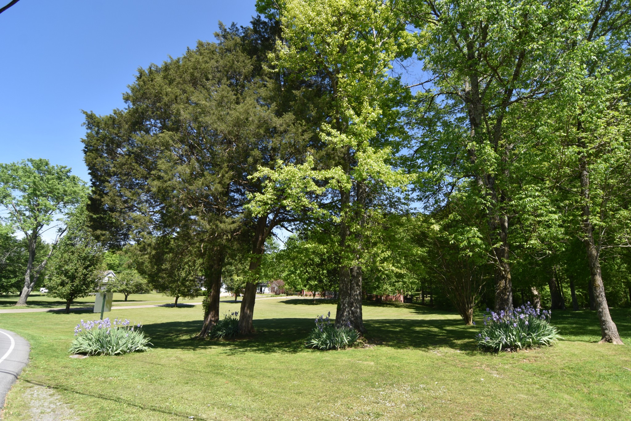 2513 Quarry Road Mount Juliet, TN 37122 - Photo 3 of 42 a view of backyard with green space