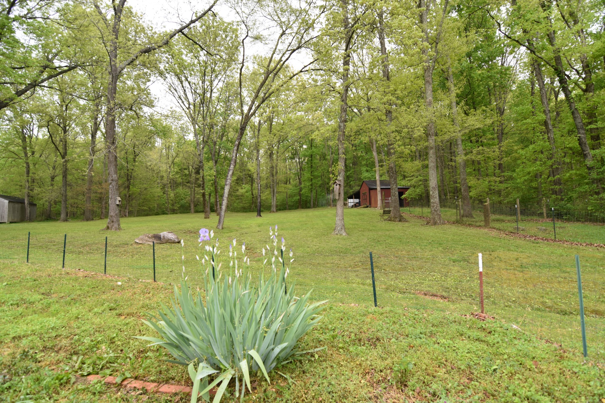 2513 Quarry Road Mount Juliet, TN 37122 - Photo 22 of 42 a view of a park with large trees