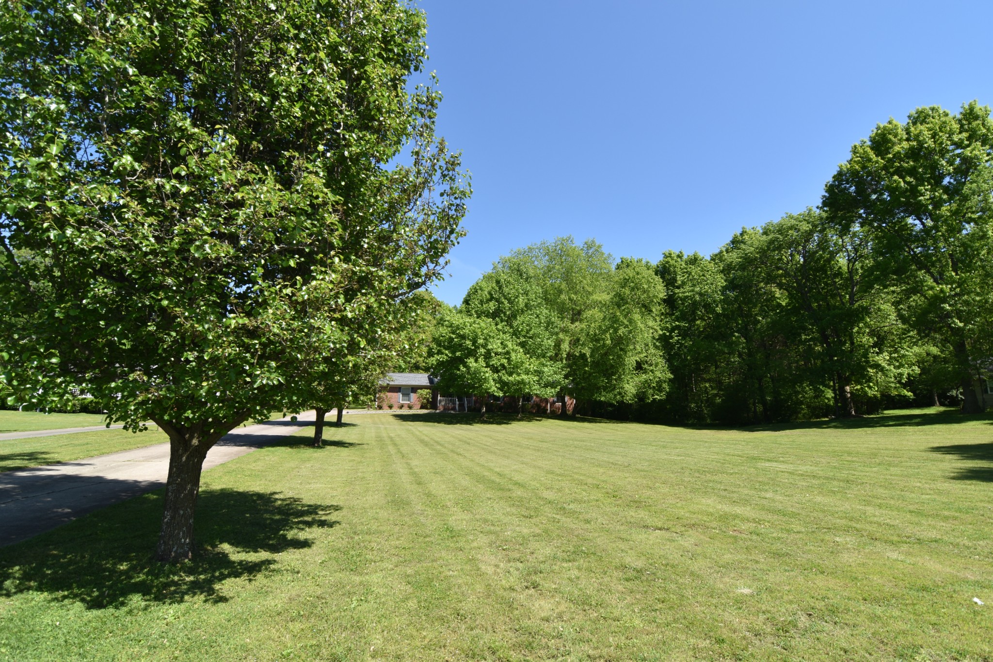 2513 Quarry Road Mount Juliet, TN 37122 - Photo 24 of 42 a view of an outdoor space and a yard
