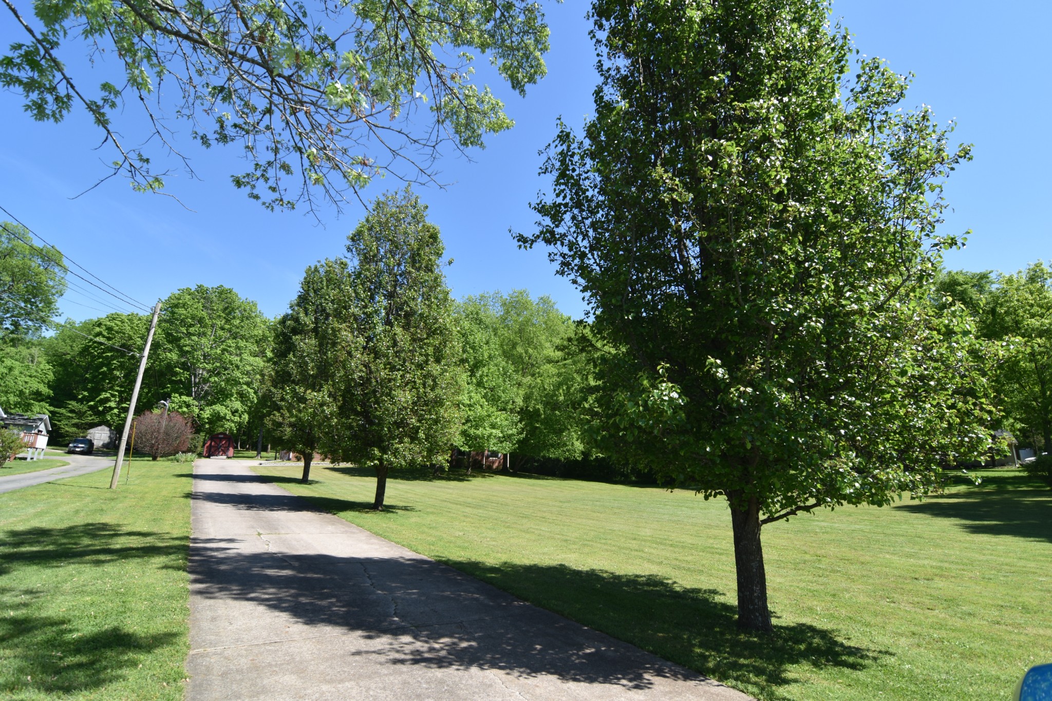 2513 Quarry Road Mount Juliet, TN 37122 - Photo 25 of 42 a view of a yard with a tree