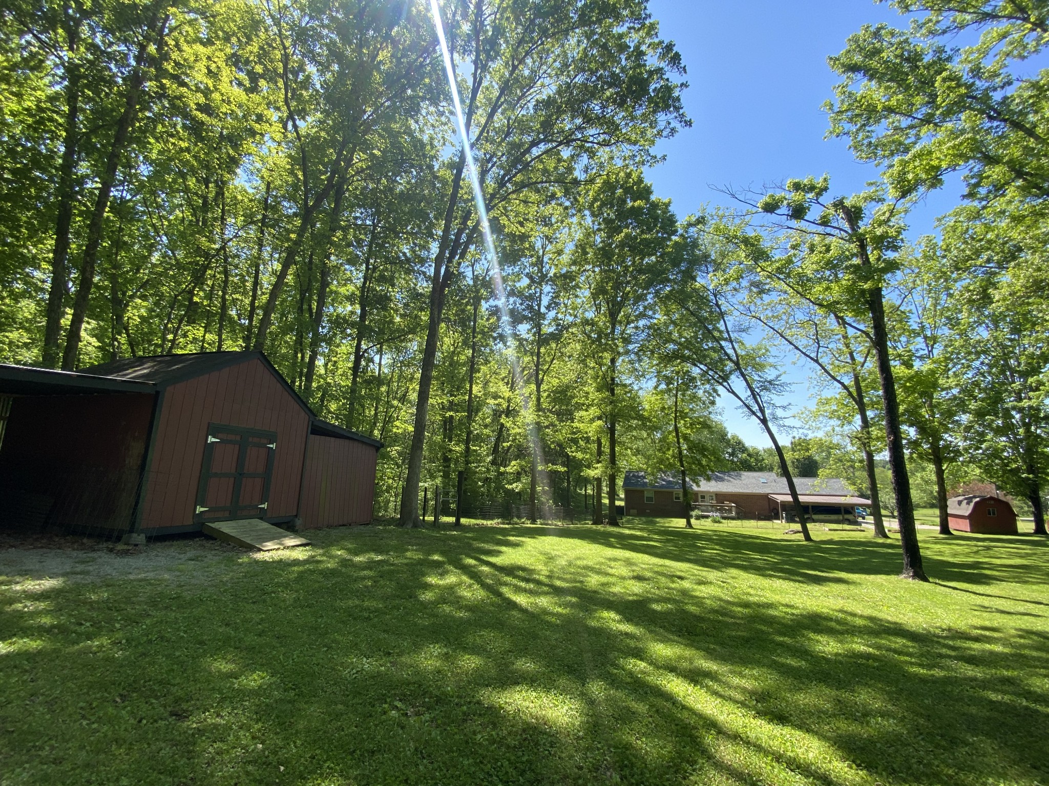 2513 Quarry Road Mount Juliet, TN 37122 - Photo 4 of 42 a view of a backyard with large trees and plants