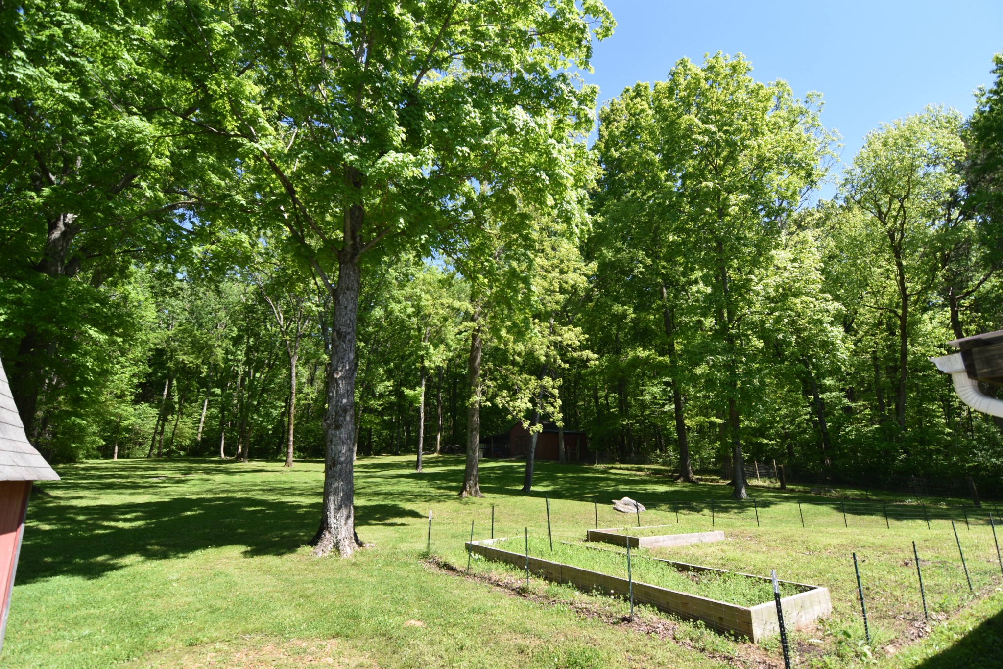2513 Quarry Road Mount Juliet, TN 37122 - Photo 31 of 42 a view of a park with a tree