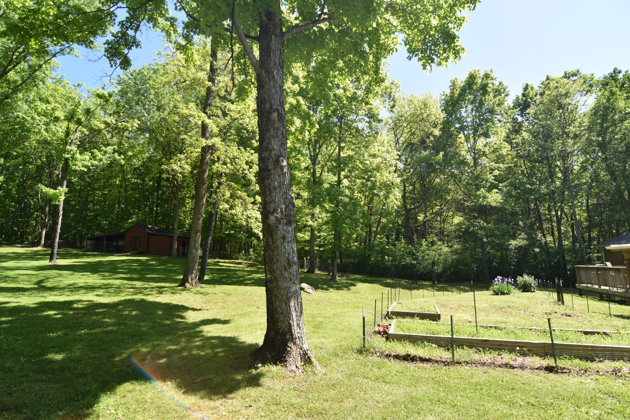 2513 Quarry Road Mount Juliet, TN 37122 - Photo 32 of 42 a view of a park with large trees