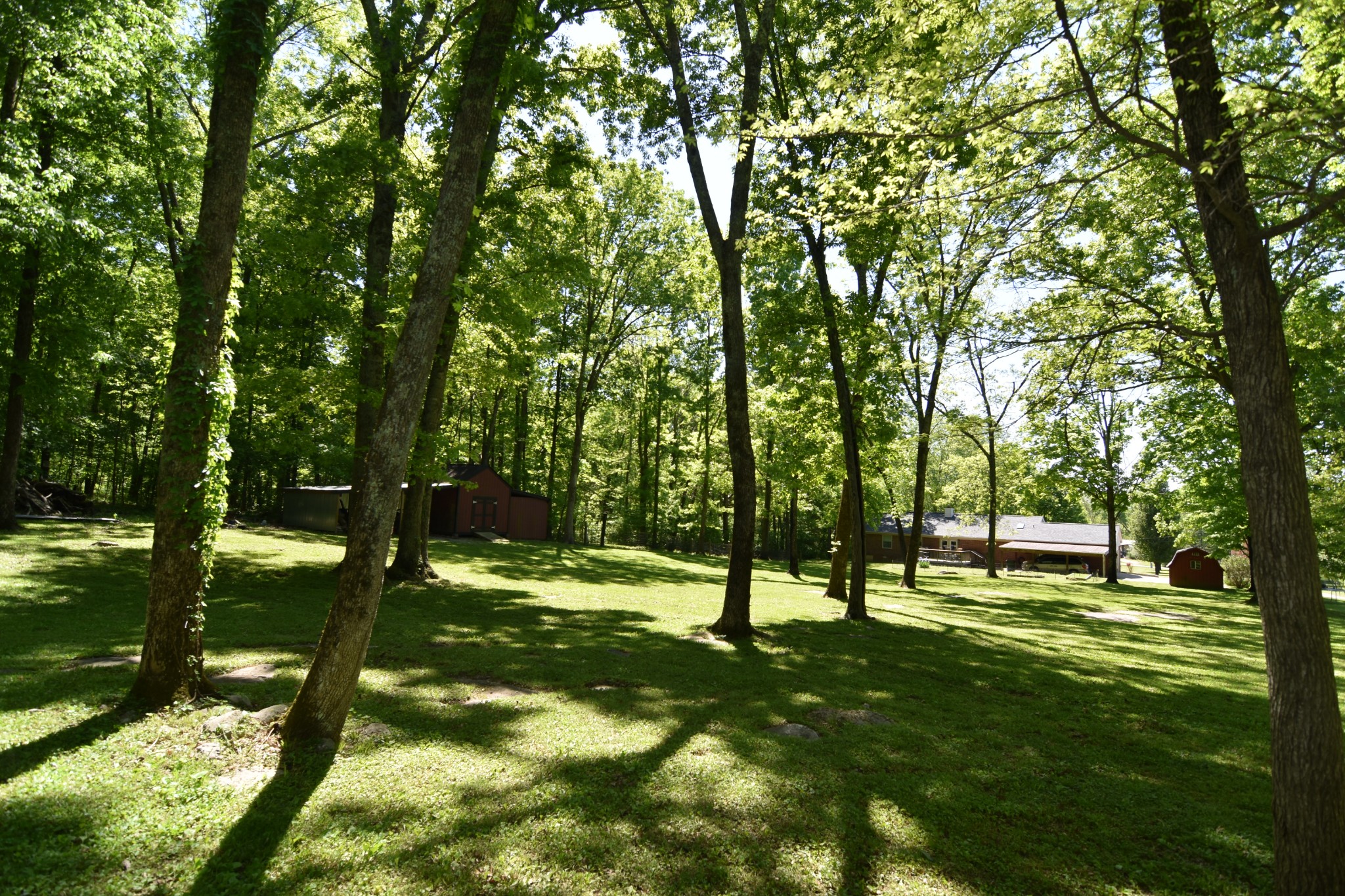 2513 Quarry Road Mount Juliet, TN 37122 - Photo 34 of 42 a view of park
