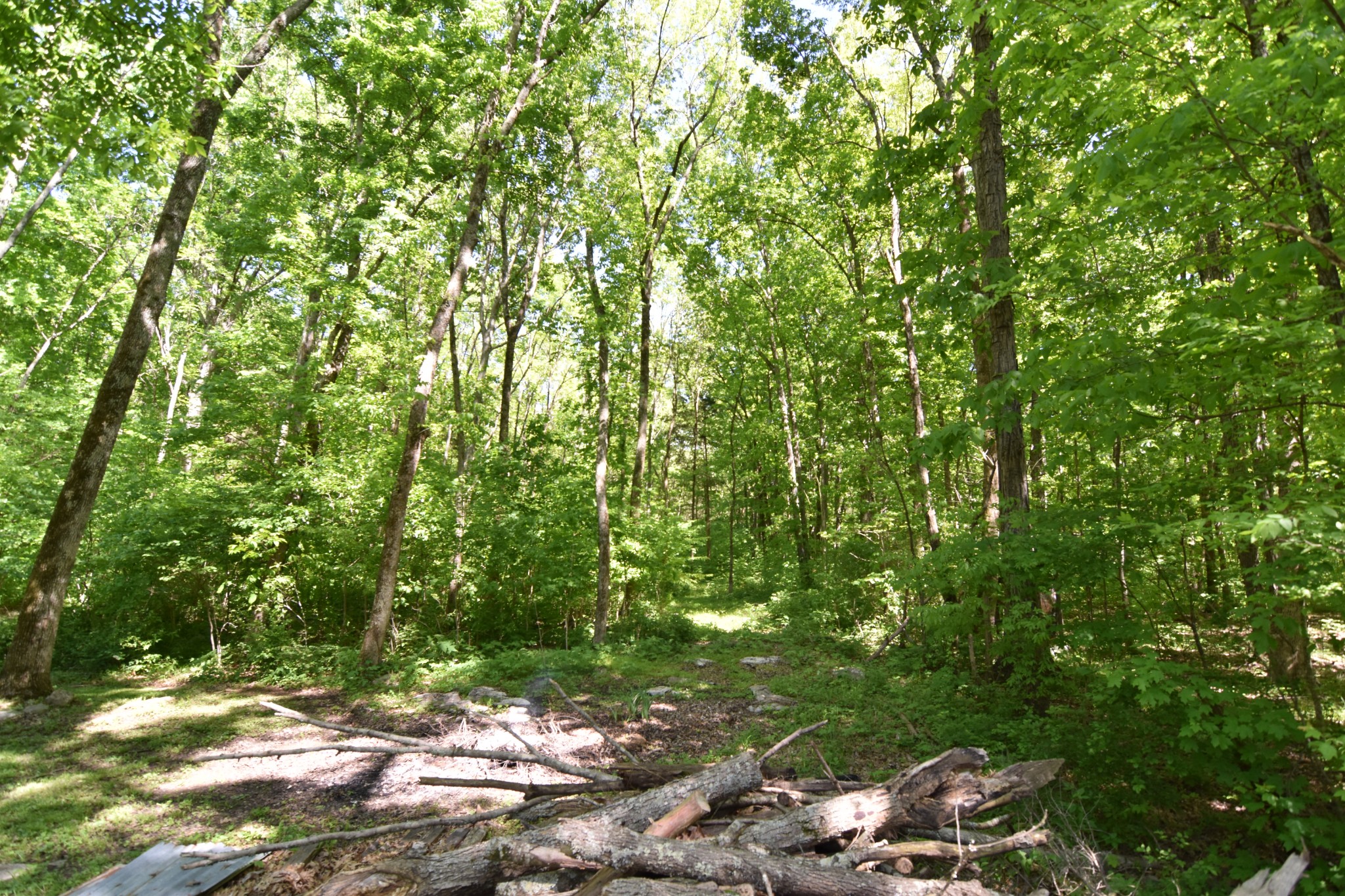 2513 Quarry Road Mount Juliet, TN 37122 - Photo 36 of 42 a view of yard with green space