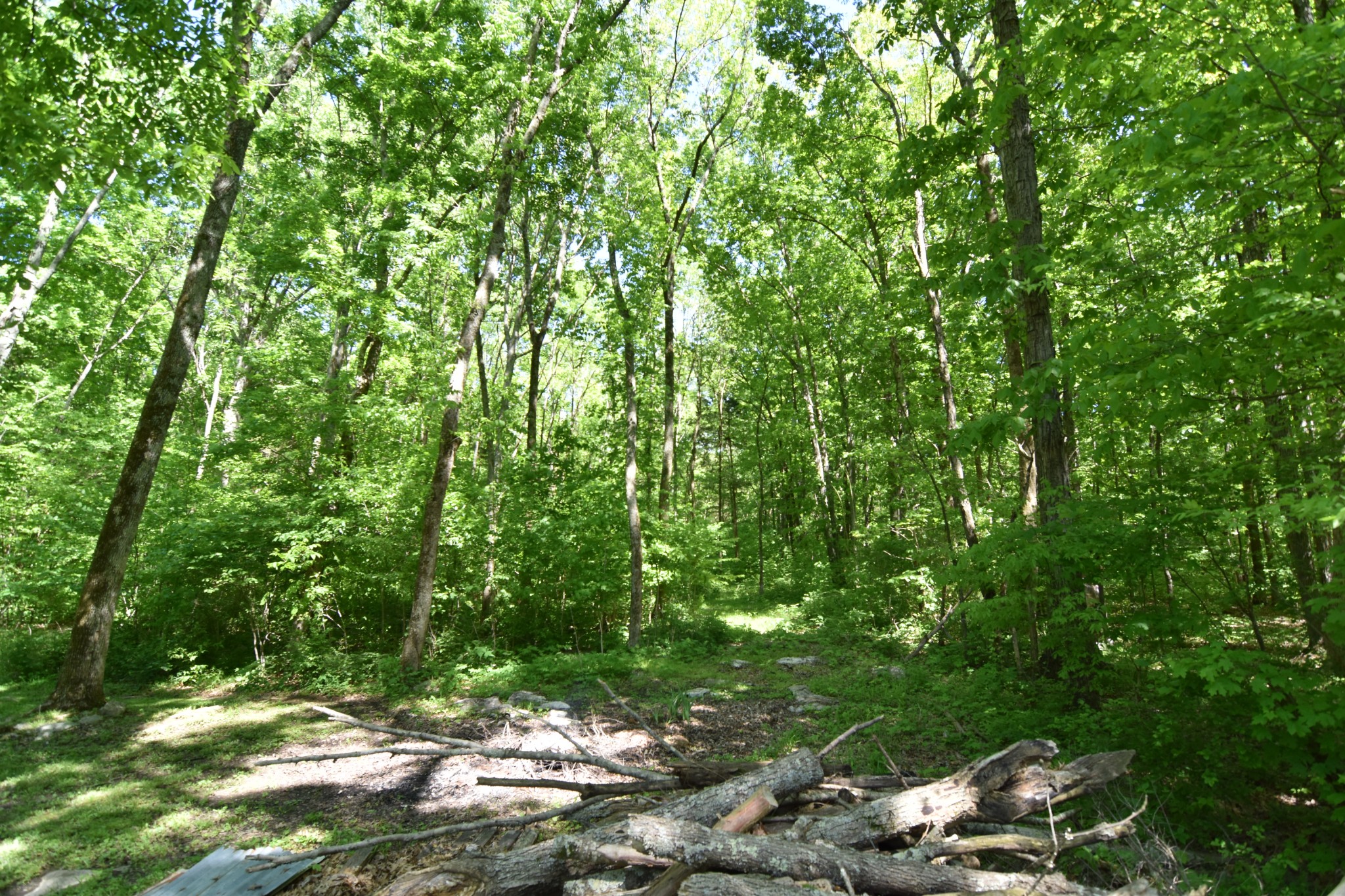 2513 Quarry Road Mount Juliet, TN 37122 - Photo 37 of 42