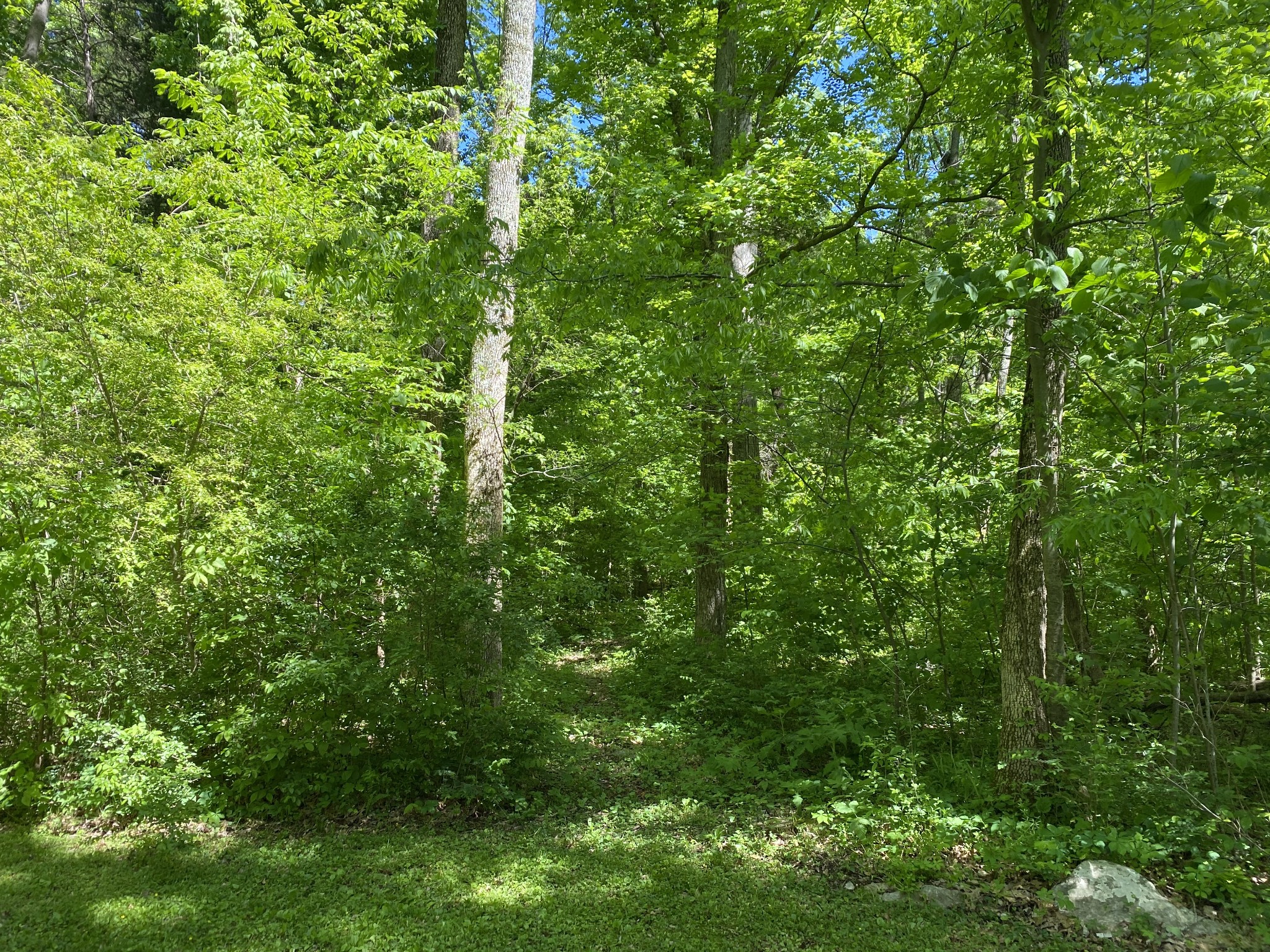 2513 Quarry Road Mount Juliet, TN 37122 - Photo 41 of 42