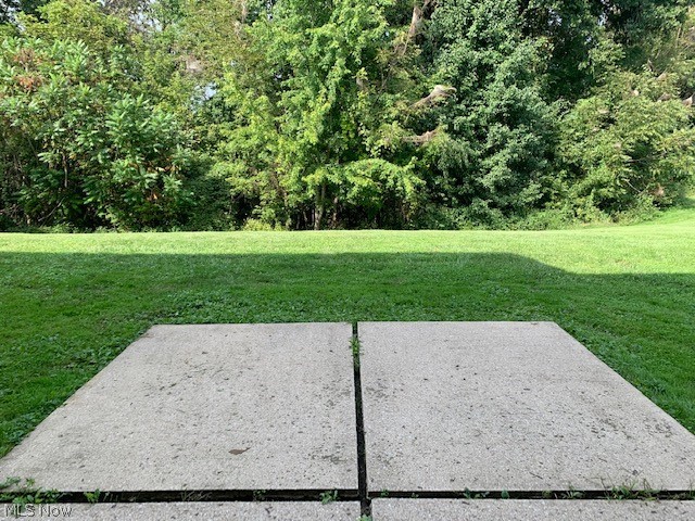 1018 Robinson Road Wooster, OH 44691 - Photo 15 of 16 From the basement to the back yard.