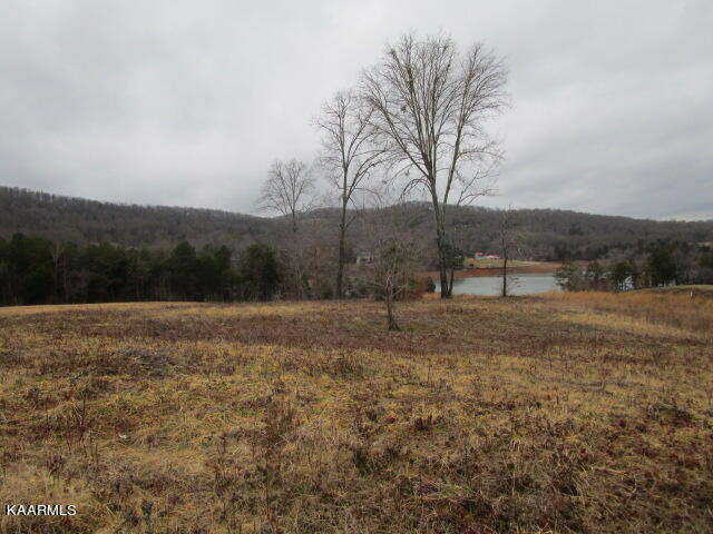 Old Leadmine Bend Road Sharps Chapel, TN 37866 - Photo 1 of 5 IMG_3309