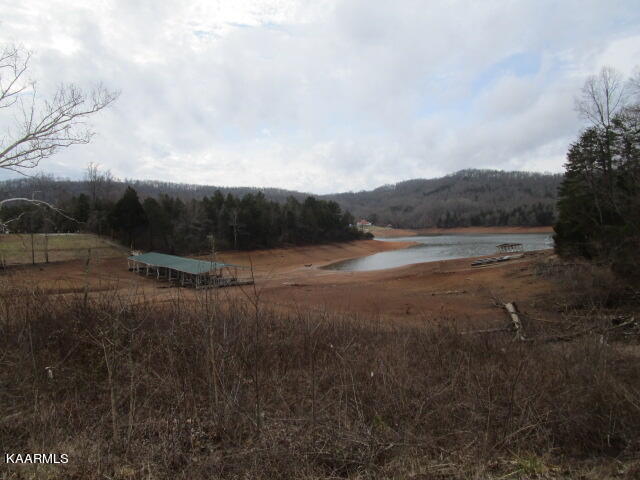Old Leadmine Bend Road Sharps Chapel, TN 37866 - Photo 2 of 5 IMG_3314