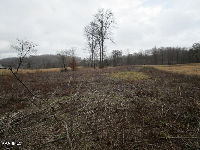 Old Leadmine Bend Road Sharps Chapel, TN 37866 - Photo 5 of 5 IMG_3306
