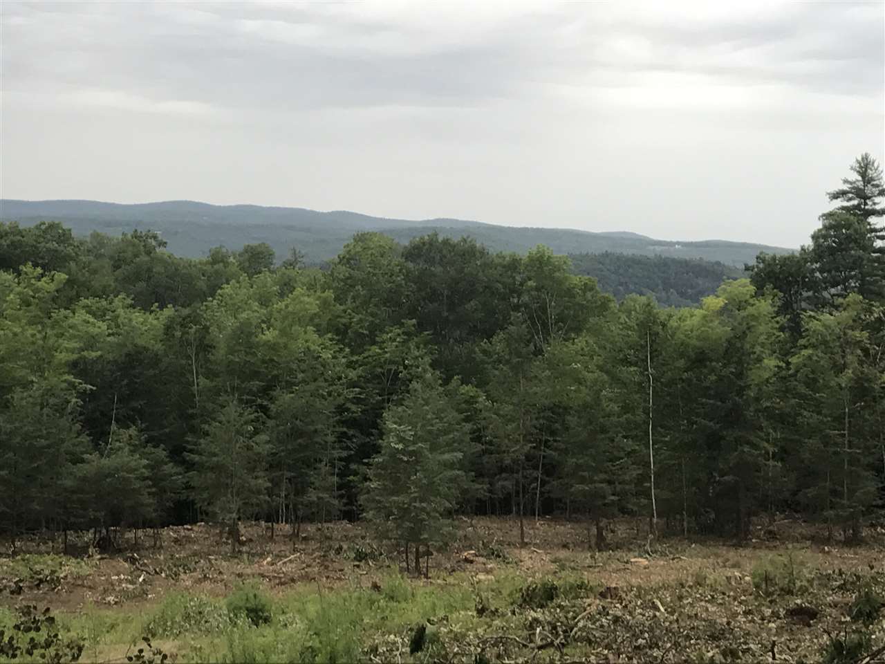 60 Pinneo Hill Road Hanover, NH 03755 - Photo 2 of 30