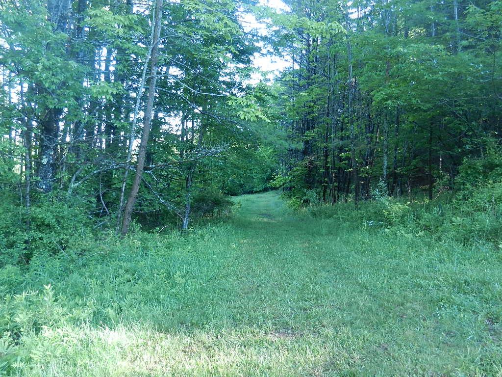60 Pinneo Hill Road Hanover, NH 03755 - Photo 14 of 30