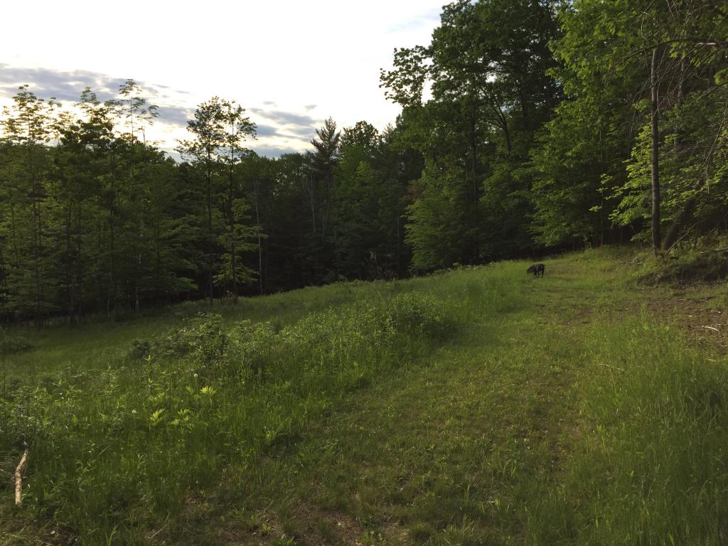 60 Pinneo Hill Road Hanover, NH 03755 - Photo 22 of 30