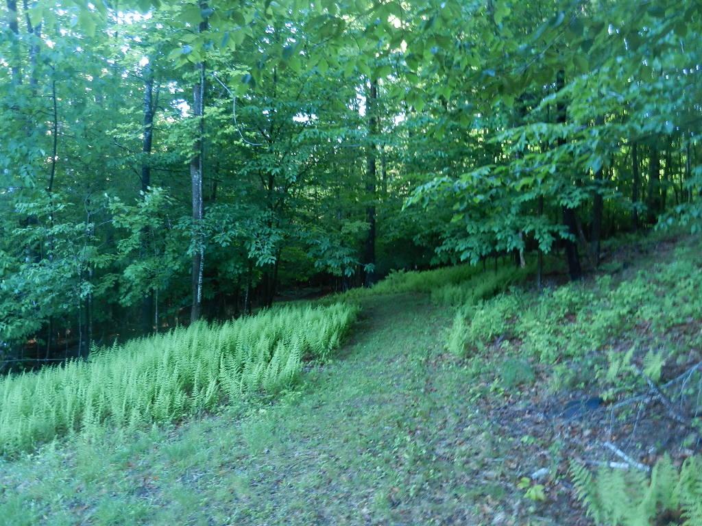 60 Pinneo Hill Road Hanover, NH 03755 - Photo 23 of 30