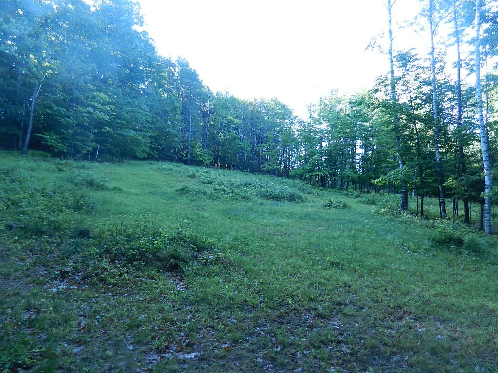60 Pinneo Hill Road Hanover, NH 03755 - Photo 27 of 30