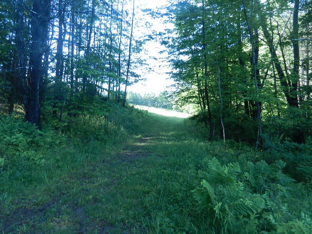 60 Pinneo Hill Road Hanover, NH 03755 - Photo 28 of 30