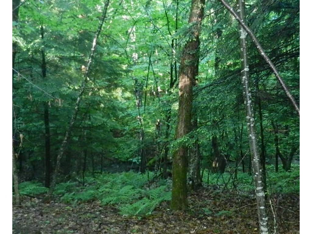 60 Pinneo Hill Road Hanover, NH 03755 - Photo 30 of 30