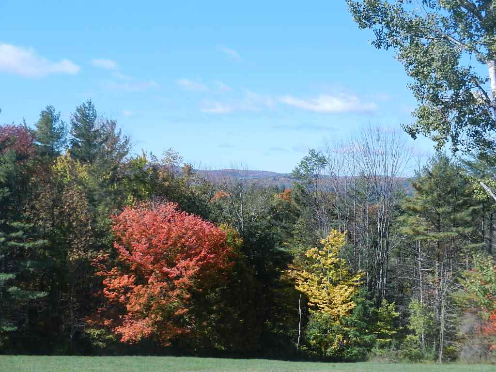 60 Pinneo Hill Road Hanover, NH 03755 - Photo 7 of 30
