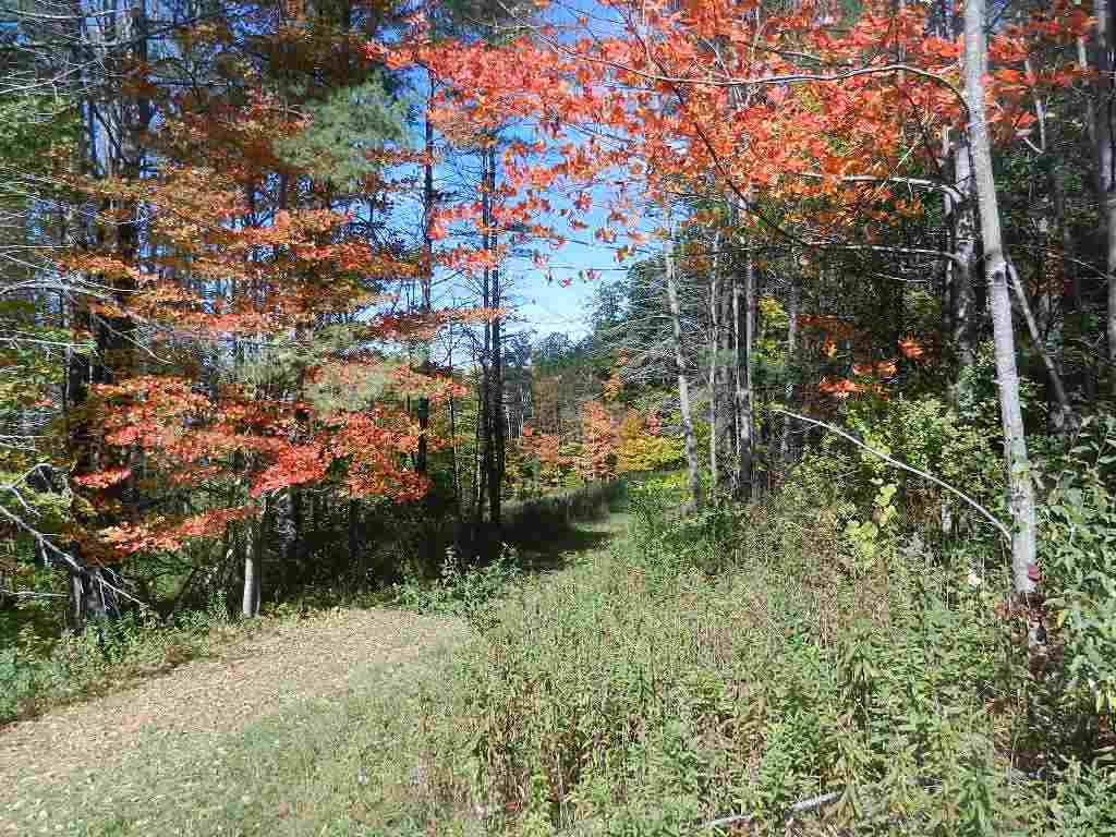 60 Pinneo Hill Road Hanover, NH 03755 - Photo 9 of 30