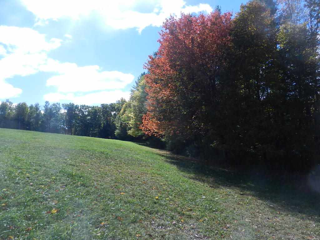 60 Pinneo Hill Road Hanover, NH 03755 - Photo 10 of 30