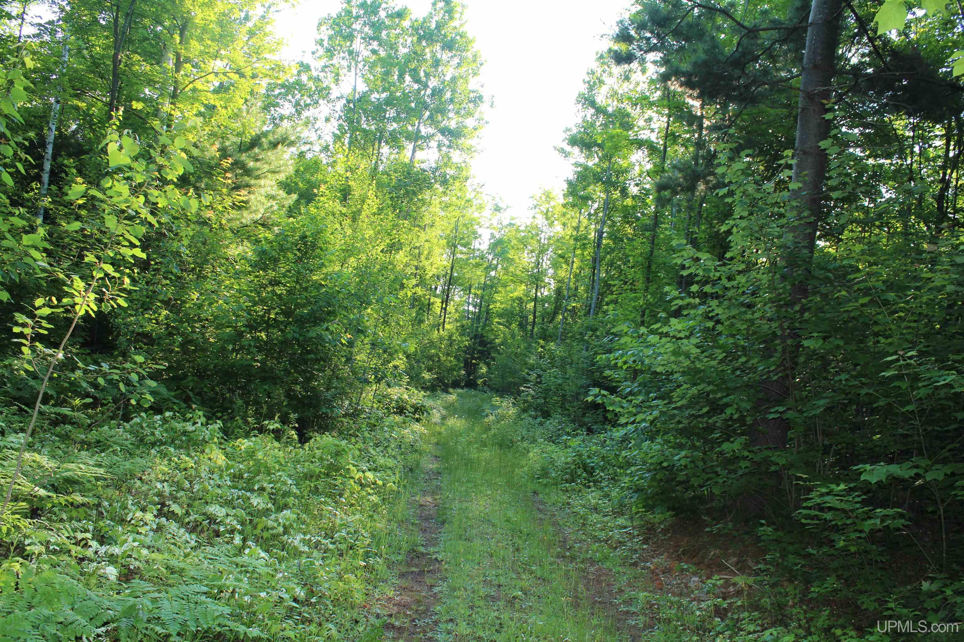 On Alder Cr Road Marquette, MI 49855 - Photo 4 of 20