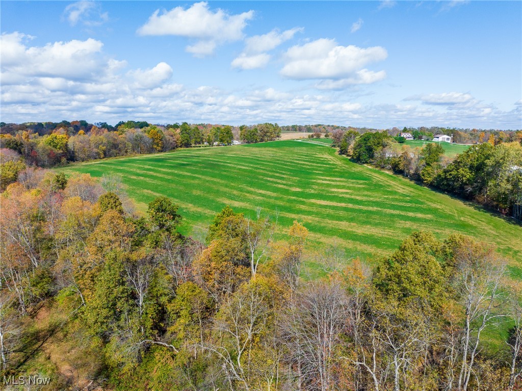 Emerick Road Kensington, OH 44427 - Photo 43 of 50 Aerial view