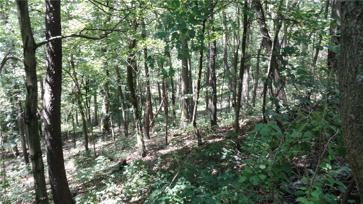Tbd Glendale Road New Cumberland, WV 26047 - Photo 13 of 17 Center of parcels