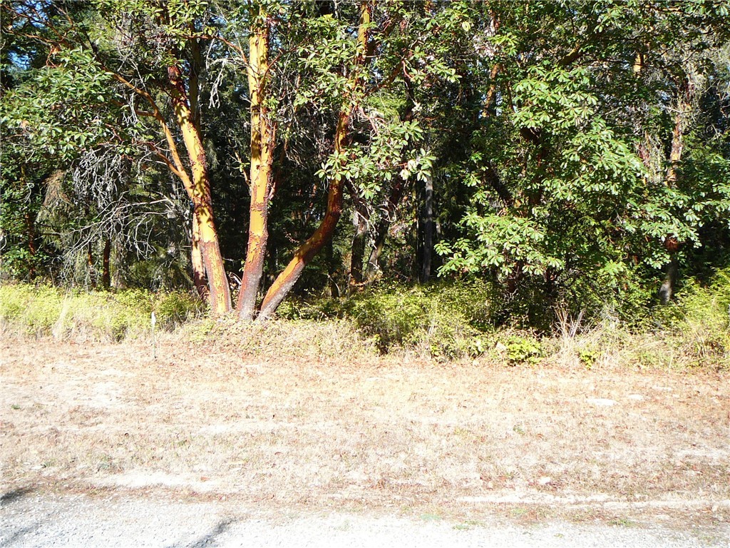 -nna Kirner Road Sequim, WA 98382 - Photo 13 of 20