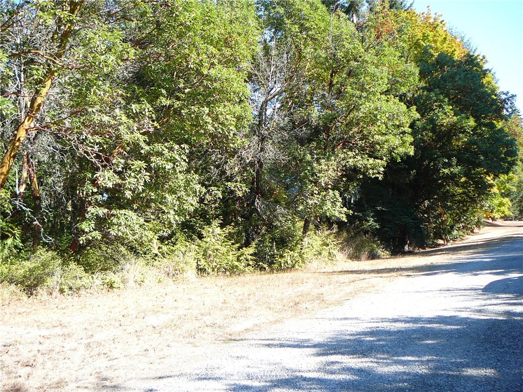 -nna Kirner Road Sequim, WA 98382 - Photo 9 of 20