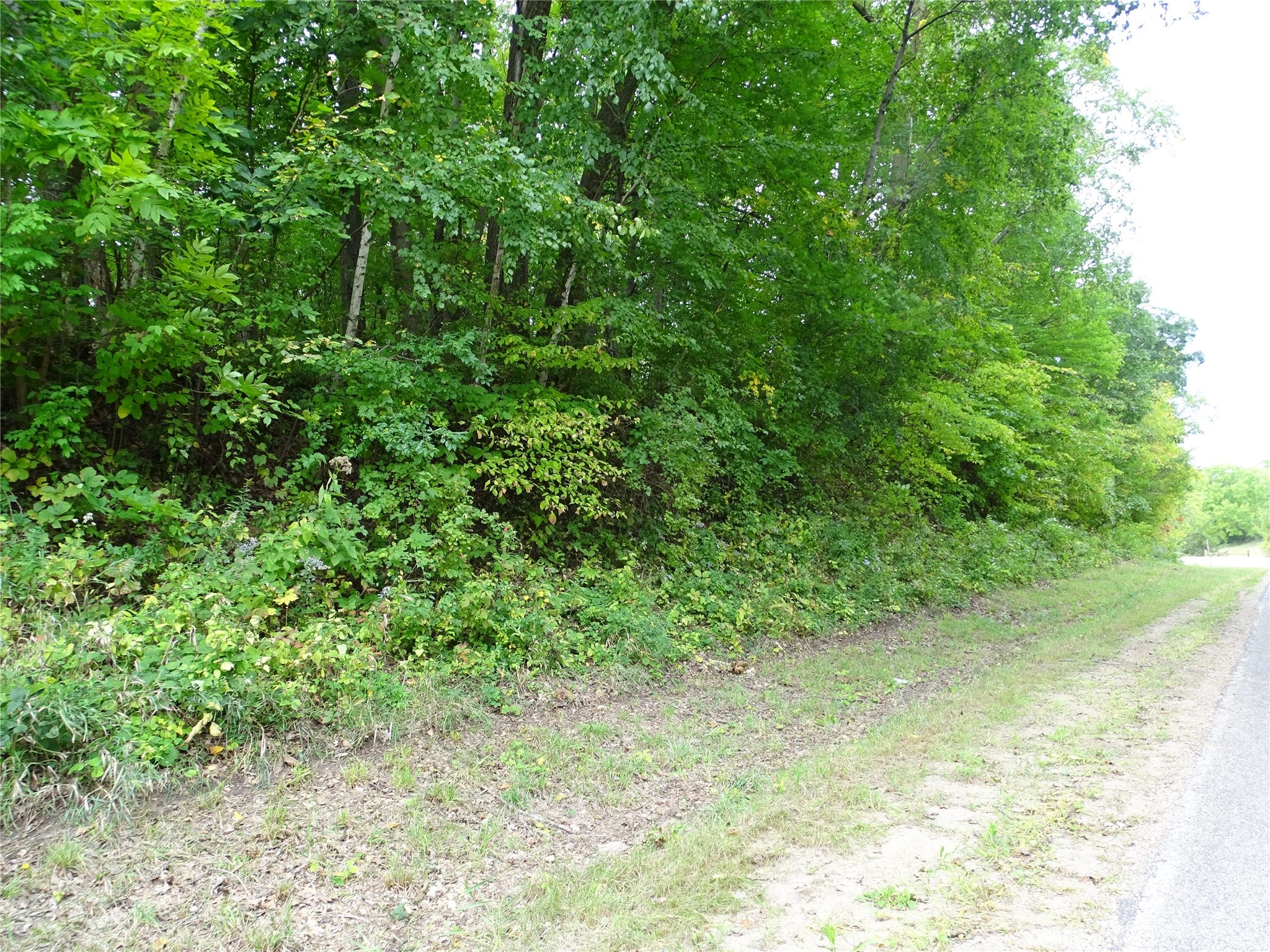 0 County Road East Stockholm, WI 54769 - Photo 2 of 7 Gallery Image 2