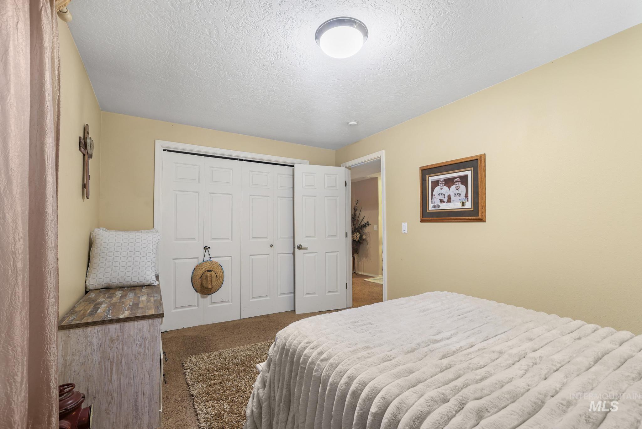 733 Beta Circle Twin Falls, ID 83301 - Photo 28 of 50 Carpeted bedroom with a closet and a textured ceiling