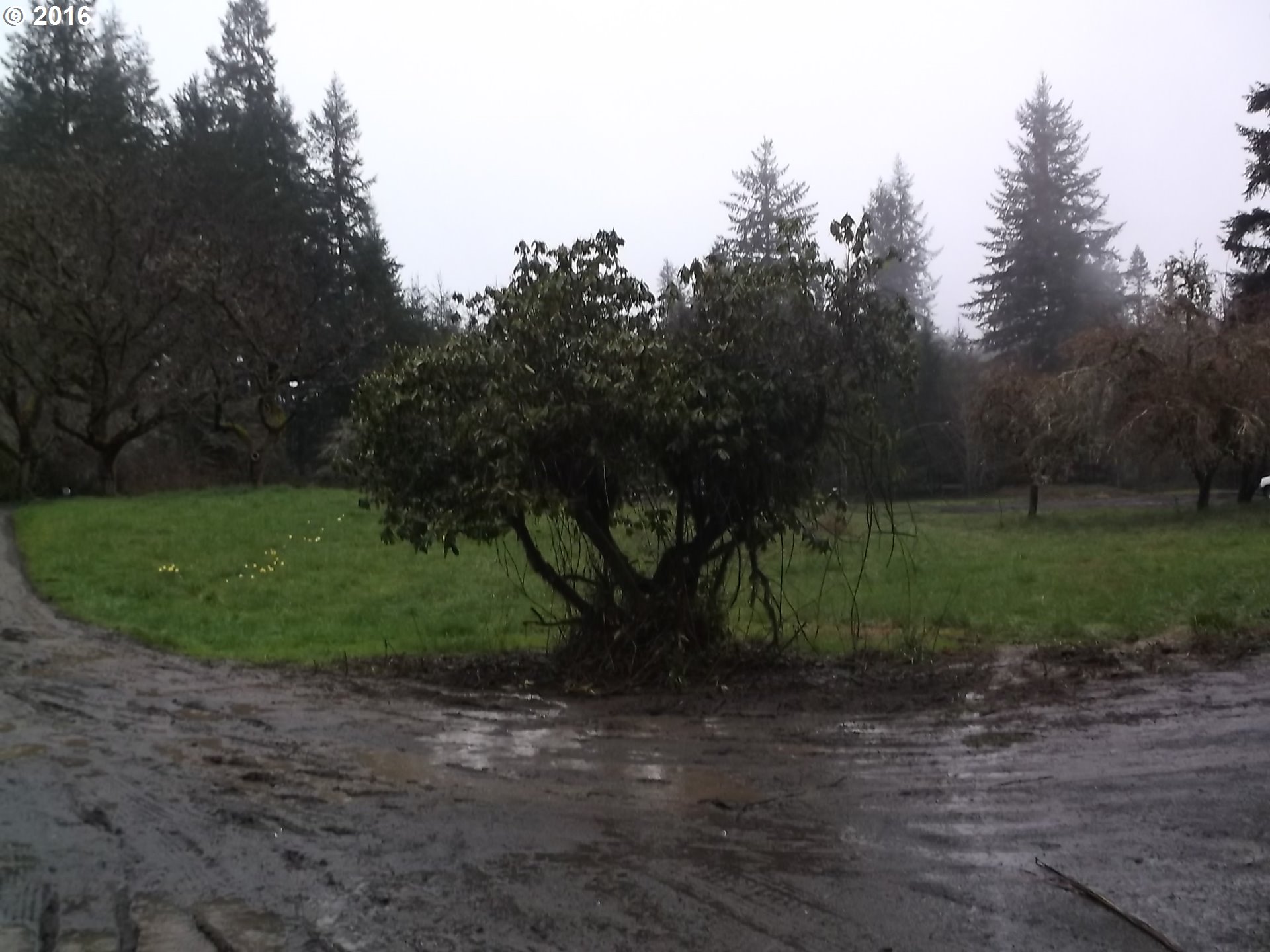 60274 Fairview Road Coquille, OR 97423 - Photo 11 of 14 Gallery Image 11