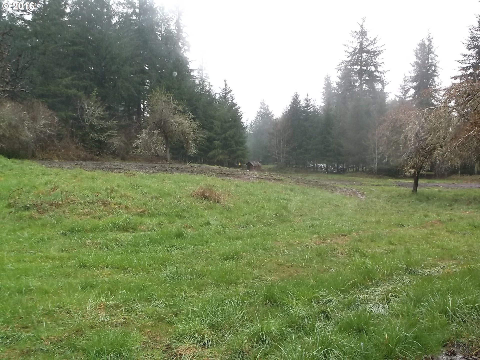 60274 Fairview Road Coquille, OR 97423 - Photo 2 of 14 Gallery Image 2