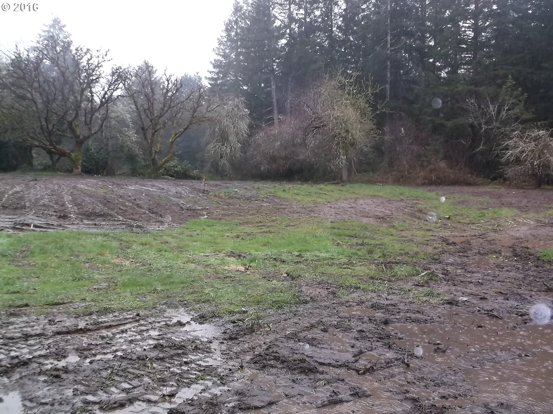60274 Fairview Road Coquille, OR 97423 - Photo 5 of 14 Gallery Image 5