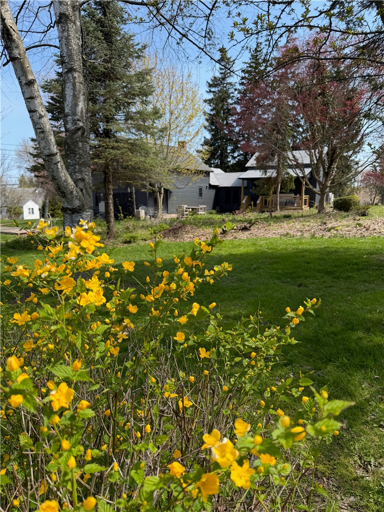 3170 Franklin Street Road Sennett, NY 13021 - Photo 33 of 34