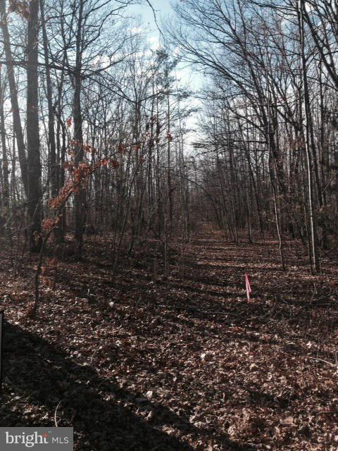 Byrd Mill Road Louisa, VA 23093 - Photo 1 of 2 Exterior (General)