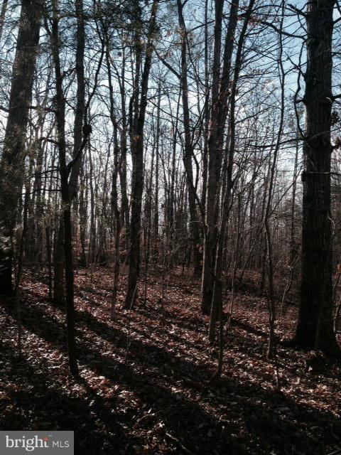 Byrd Mill Road Louisa, VA 23093 - Photo 2 of 2 Exterior (General)