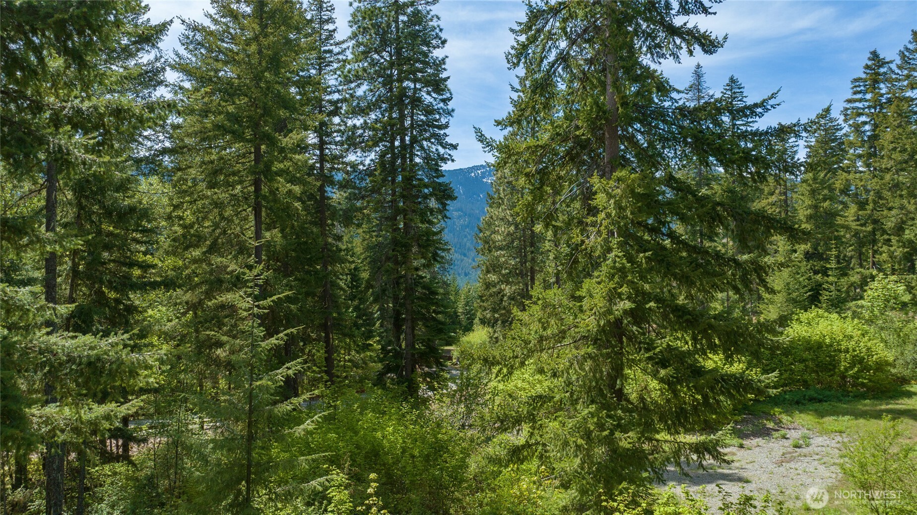9 Salmon La Ronald, WA 98940 - Photo 5 of 9 a view of a lush green forest
