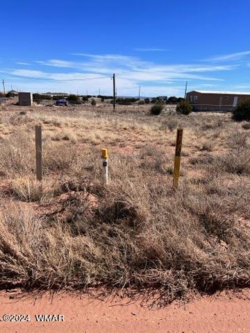 5490 Az-277 Heber, AZ 85928 - Photo 4 of 7