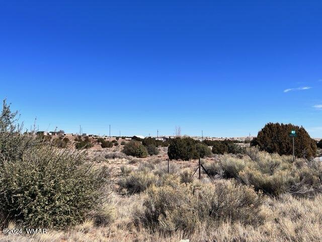 5490 Az-277 Heber, AZ 85928 - Photo 6 of 7