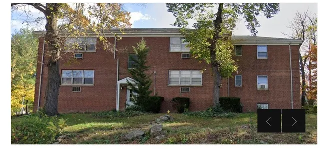 a view of backyard with potted plants and large tree