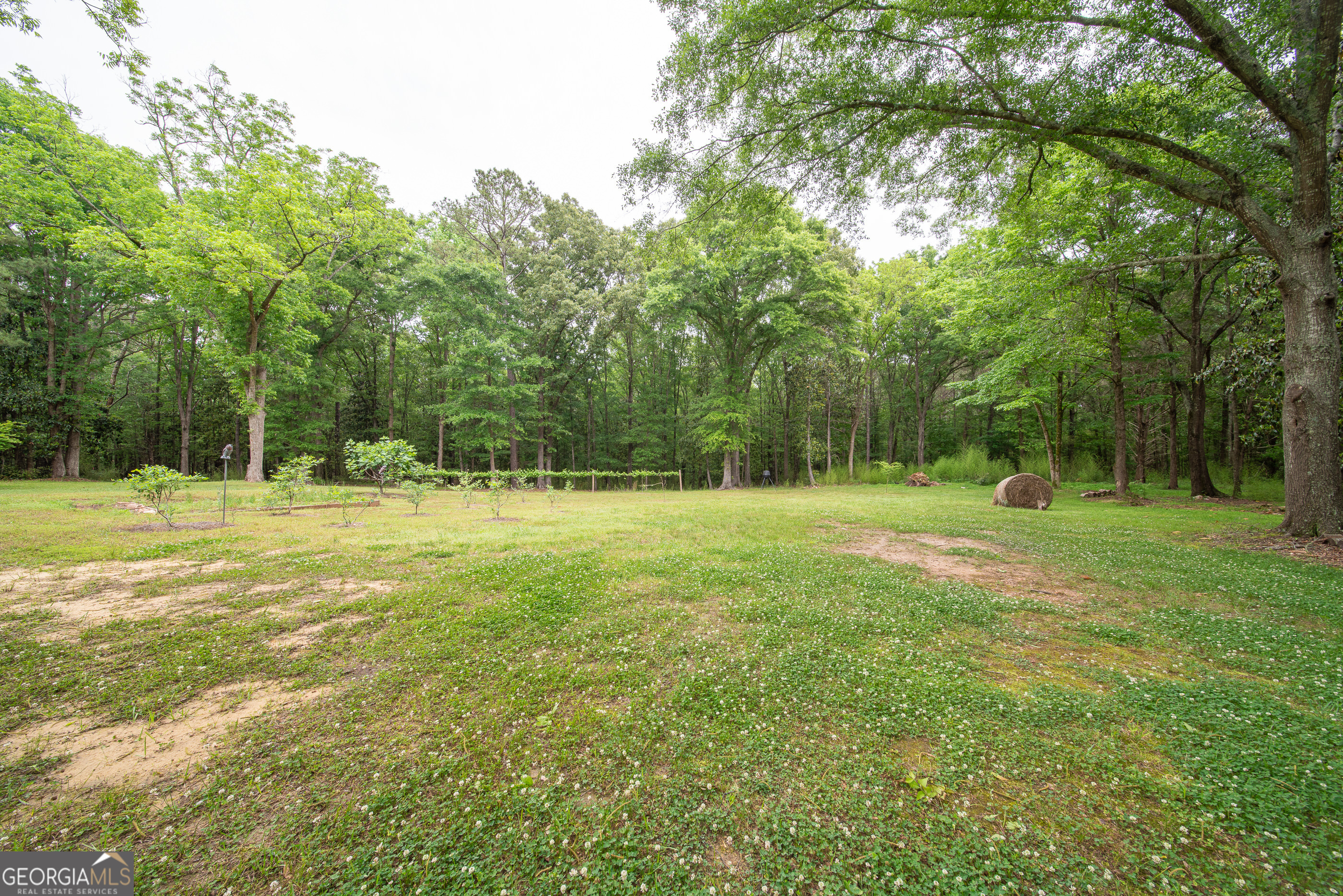 4200 Highway 85 Manchester, GA 31816 - Photo 51 of 58